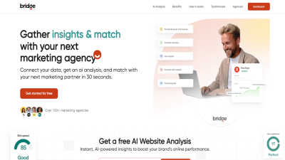 Bridge - AI tool for Marketing